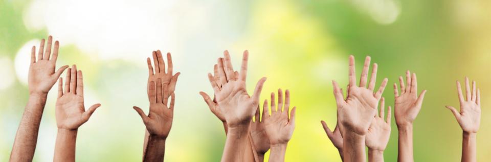 Group of raised hands